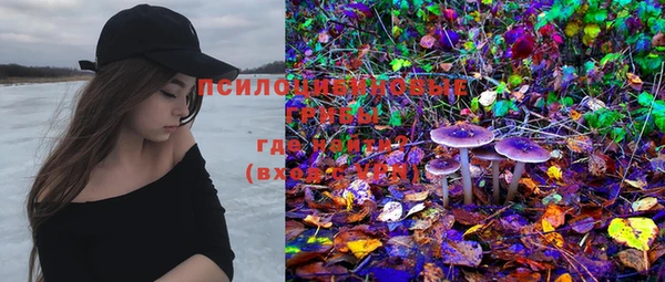 PSILOCYBIN Беломорск