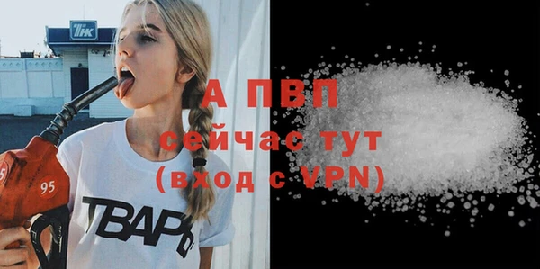 молекула духа Белоозёрский